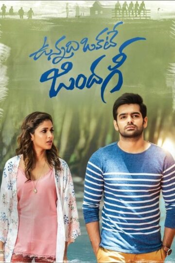 Vunnadhi-Okate-Zindagi-2017