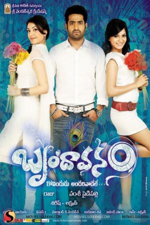 Brindaavanam-2010-UNCUT-Dual-Audio-Hindi-Telugu-Movie