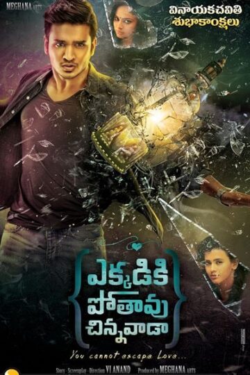 Ekkadiki-Pothavu-Chinnavada-2016-Dual-Audio-Hindi-Telugu-Movie