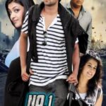 Mr-Perfect-2011-UNCUT-Dual-Audio-Hindi-Telugu-Movie