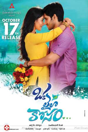 Oka-Laila-Kosam-2014-Dual-Audio-Hindi-Telugu-Movie