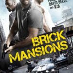 Brick-Mansions-2014-Dual-Audio-Hindi-English-Movie