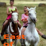 East-of-Wall-2025
