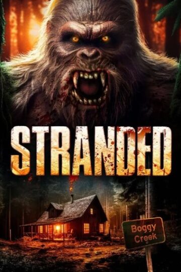 Stranded-2023