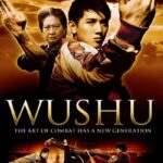 Jackie-Chan-Presents-Wushu-2008-Dual-Audio-Hindi-Chinese-Movie