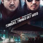 The-Outlaws-2017-Dual-Audio-Hindi-Korean-Movie