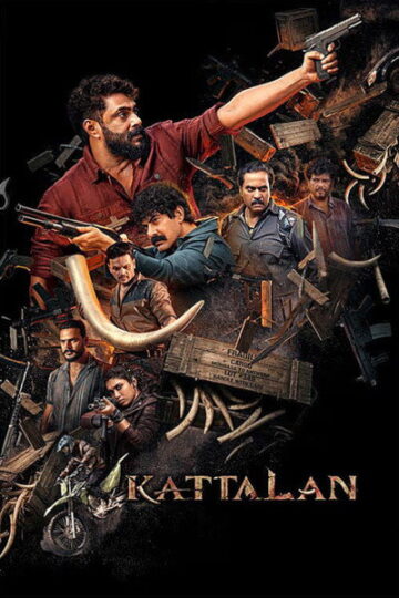 Kattalan-2026