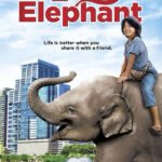 my-lucky-elephant-2013-dual-audio-hindi-portuguese-movie